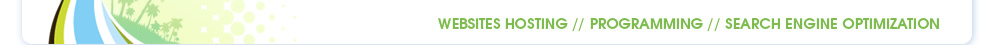 Web Hosting, Programming, Search Engine Optimization